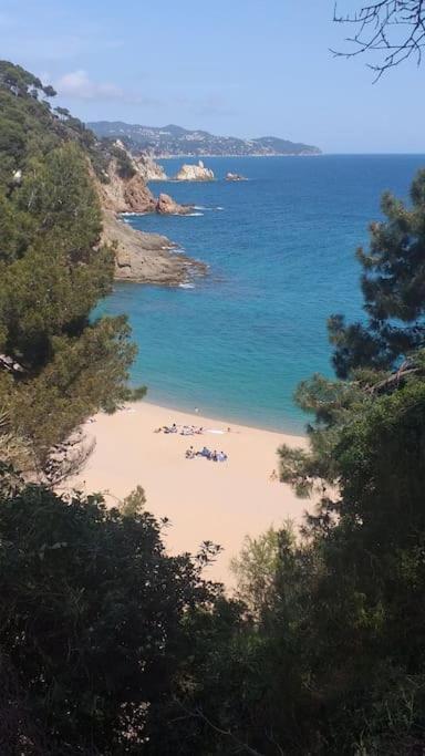 Alegre Apto Con Piscina, A 300M De La Playa. บลาเนส ภายนอก รูปภาพ